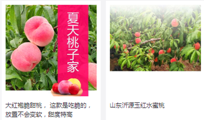 欢庆POP直播山东站商城《韶沁直播仓库》开张
