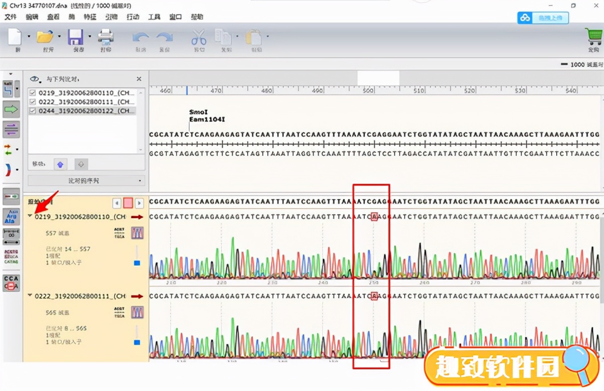 export gtf from snapgene viewer export gtf from snapgene viewer