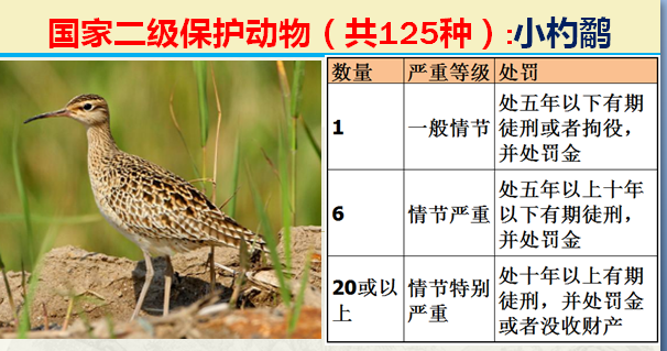 国家最新125类二级野生保护名录，图片及违法对应刑责