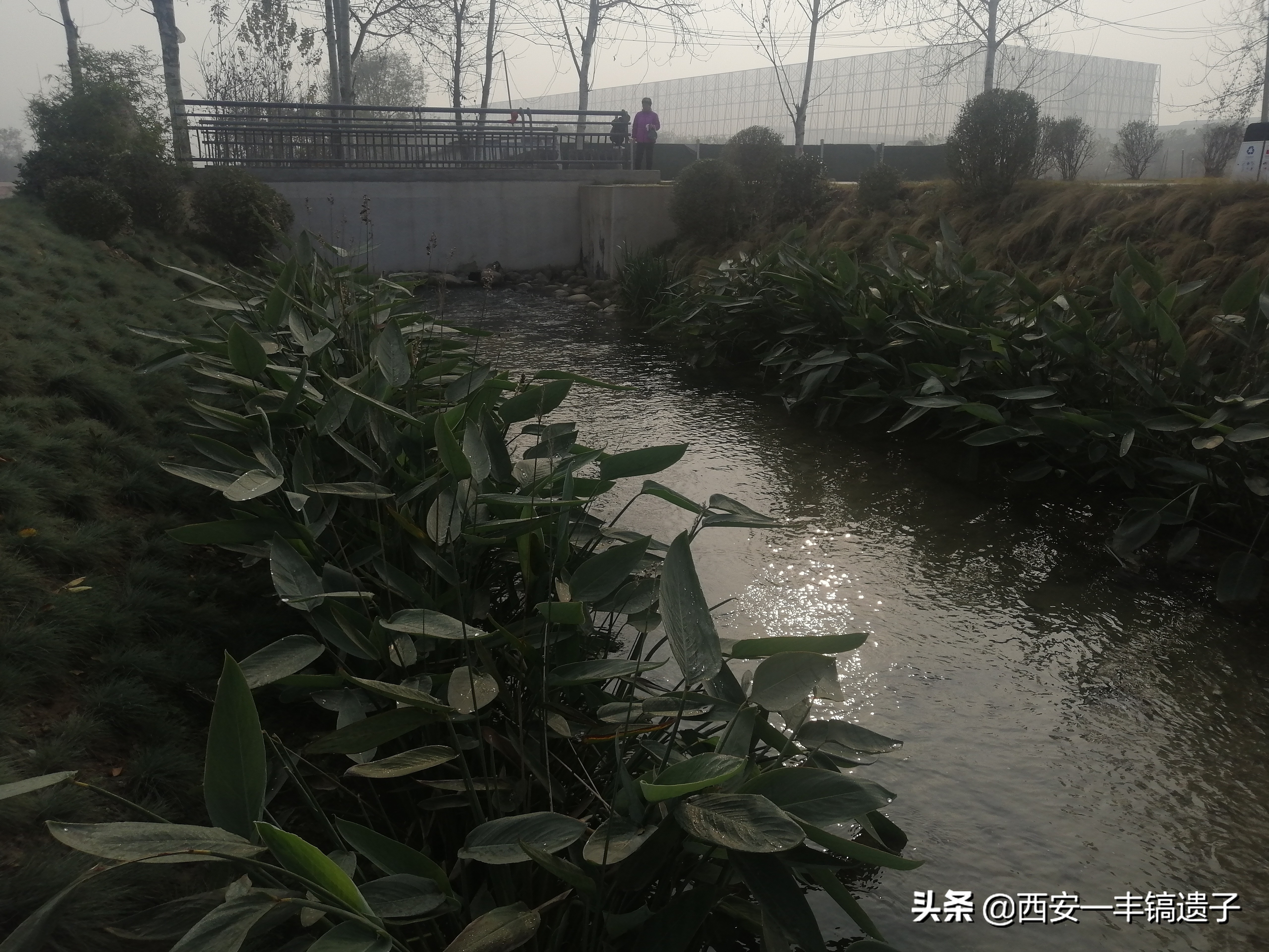 �������������������ӵ�ǰ������