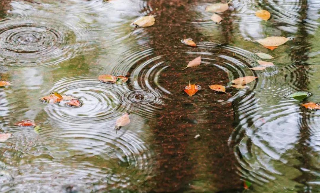 10首诗词中的雨，每一滴都落在心头-第2张图片-非凡网