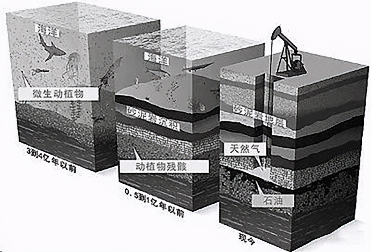 石油枯竭是骗局？地球碳储量有1.5亿亿吨，哪来这么多生物尸体-第5张图片-大千世界