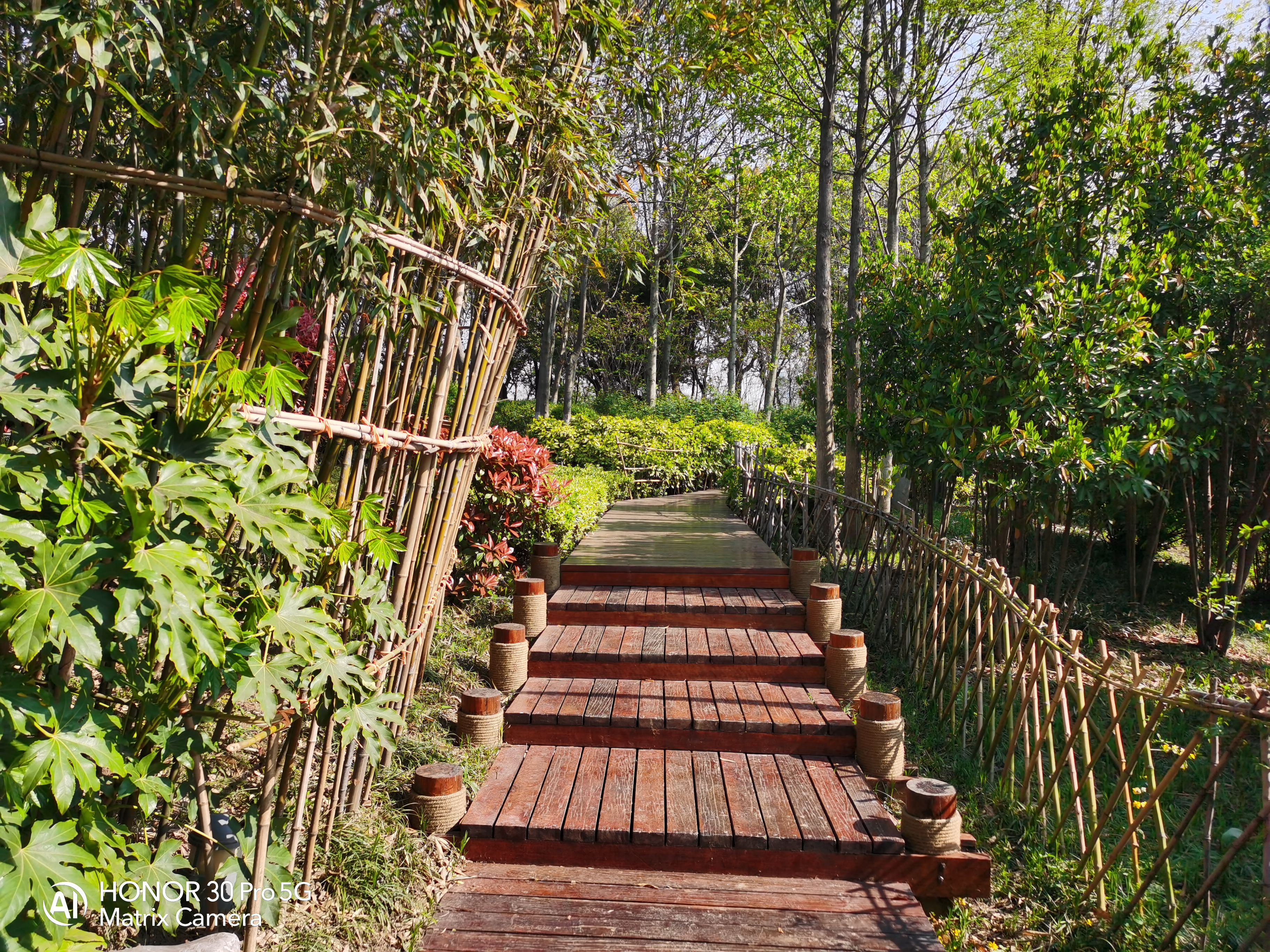 当完全不会拍照的媳妇儿上手测试荣耀30 Pro，你