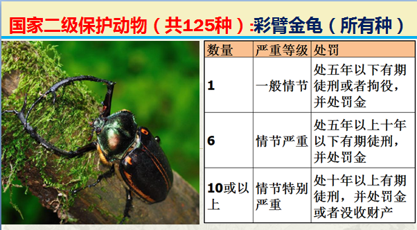 国家最新125类二级野生保护名录，图片及违法对应刑责