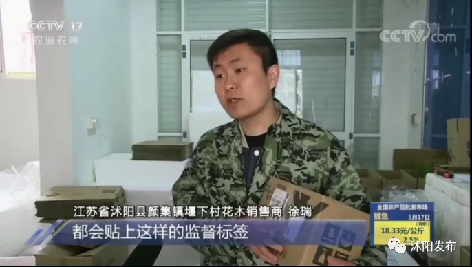 重磅！央视一天两次为沭阳点赞，诚信标签助力沭阳花木转型进级