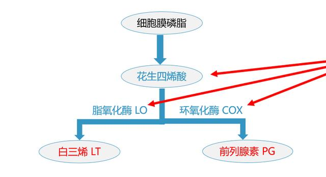 咽喉疼痛难缓解，告别咽喉痛，常用的双氯芬酸钠缓释片是消炎药吗