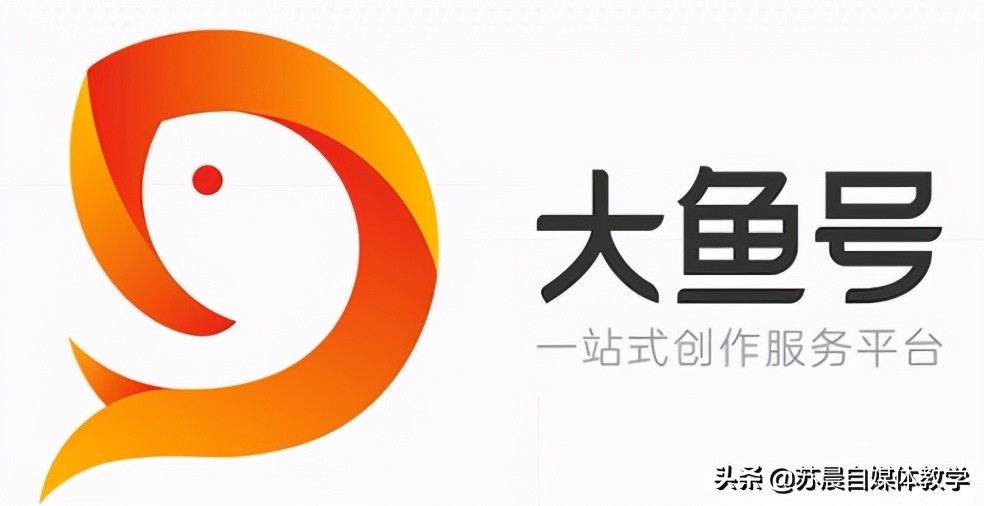 新手从0开始做自媒体，8个自媒体平台比较，这4个最容易上手