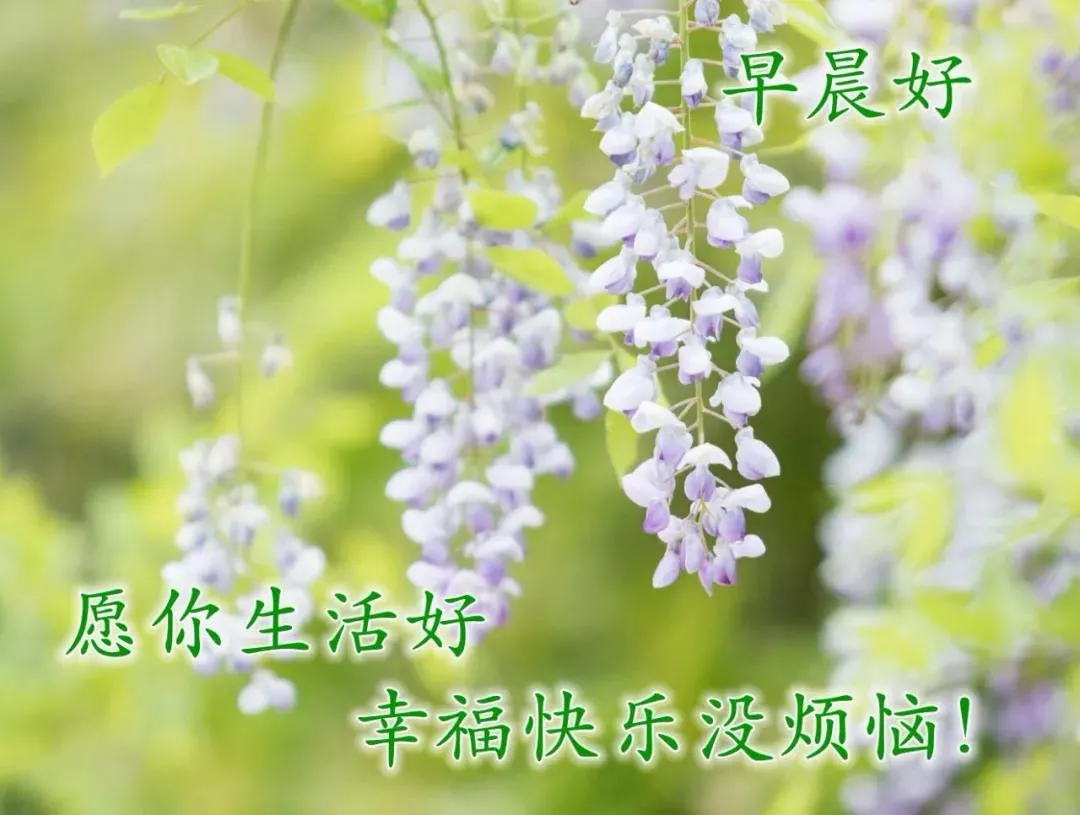 早上好表情动态 祝福语问候语 图片