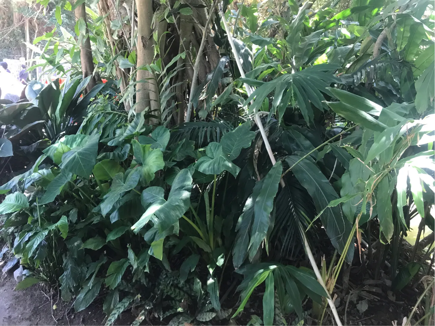 网络兼职从来不缺项目,副业项目应该怎样选择,实现睡后收入插图(1) 网络兼职从来不缺项目,副业项目应该怎样选择,实现睡后收入插图(1)