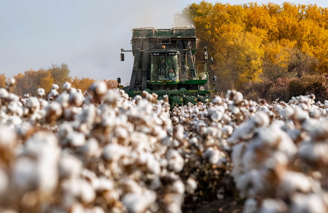 上合组织秘书长率团访问新疆：世界不能再被谎言欺骗