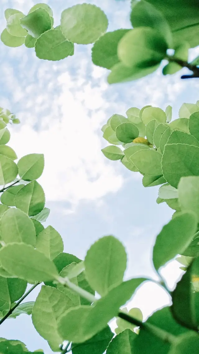 诗和远方的唯美短句（寻找诗和远方优美句子） 第13张