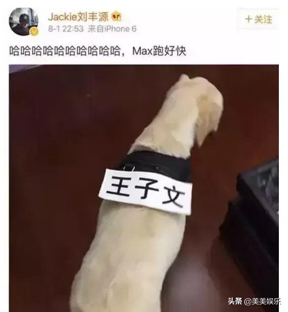 王子文上恋爱节目自曝已离婚，曾被传隐婚生子