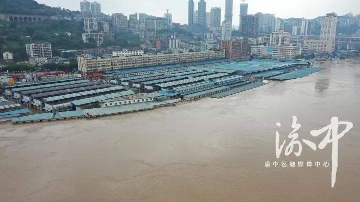重庆|渝中区启动防汛Ⅱ级应急响应 全力以赴迎战超标准洪水过境（多图）