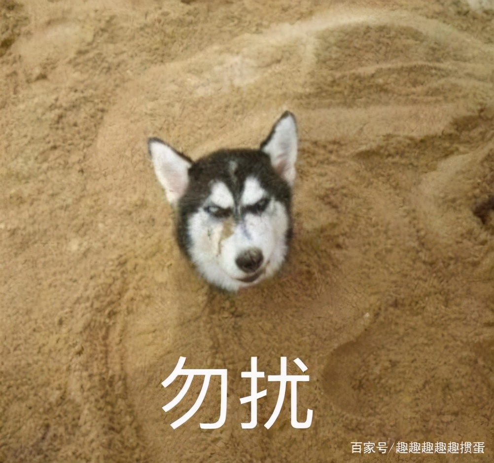 趣掼蛋：双十一狂欢夜，卜先生，你清空购物车的时候也会手抖吗？