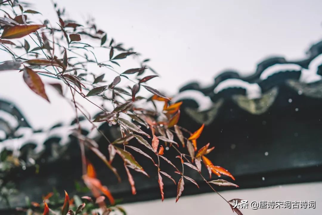 30首立冬诗词，在诗词里，体味诗意冬日-第5张图片-非凡网