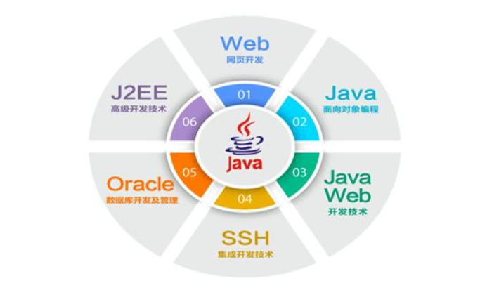 从入门到退坑，详细解密IT行业的5个岗位，最赚钱的是哪个？