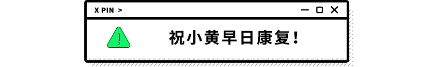 没错，狗也能献血，但被“人”喷闲得慌，说狗不配人的待遇