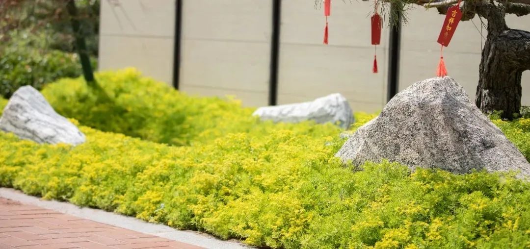 新家剧透丨建业花园里交付在即，大美佳境抢先看