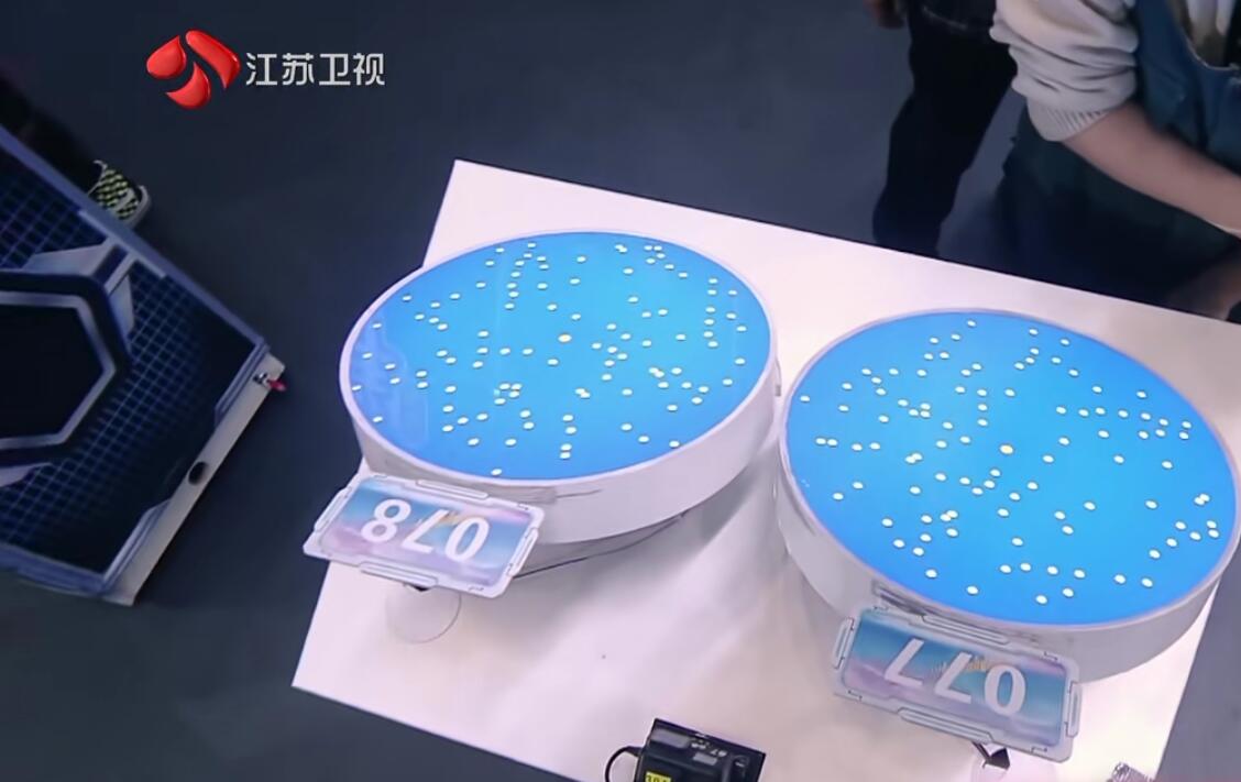 《最强大脑》项目难度又翻车，观众一眼看出答案，选手却满头大汗