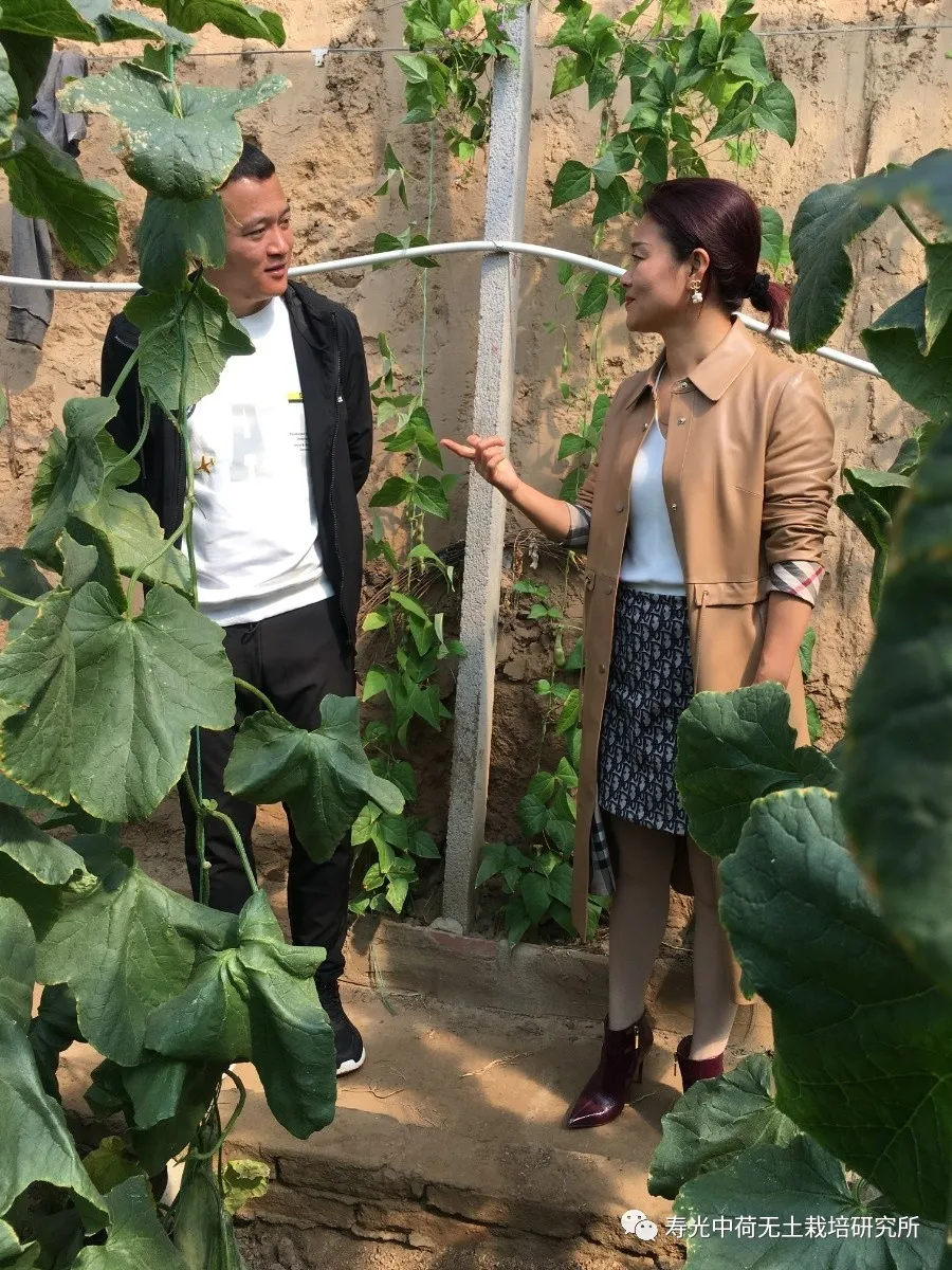热情接待新疆学员 实地考察追求进步