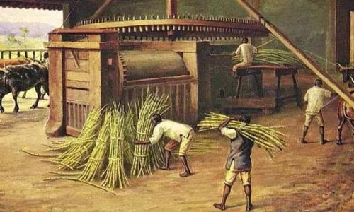 黑白并行官匪共治，巴西为什么能让政府和黑社会和平共处