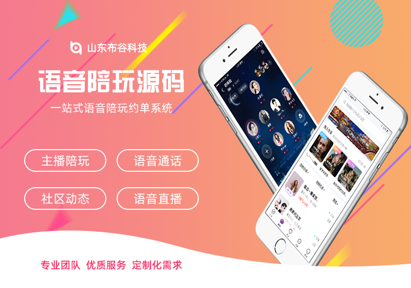 语音源码，运营级商用源码开发