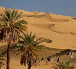 Unexpectedly, there is a "desert" in the southernmost part of mainland China (including Hainan Island)!