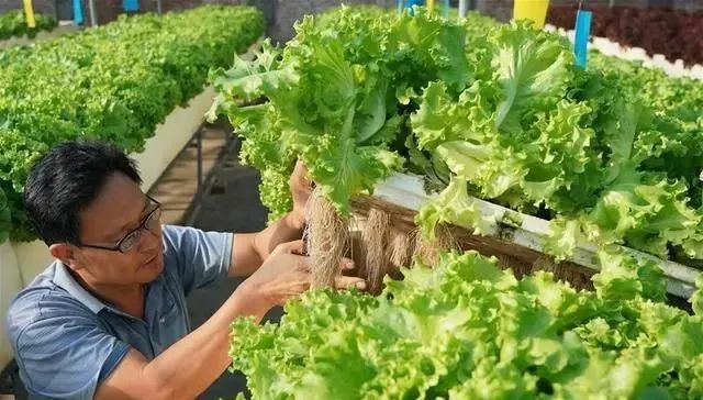 我国或建设国家级大豆种子生产基地；院士：中国功能农业前景广阔