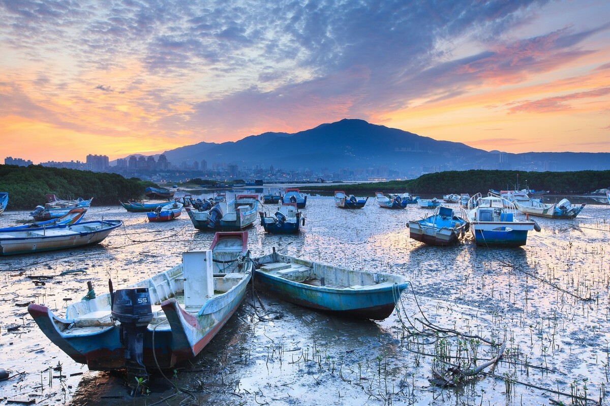 在自媒体平台的23天我的收获和感受 || 以及新手建议