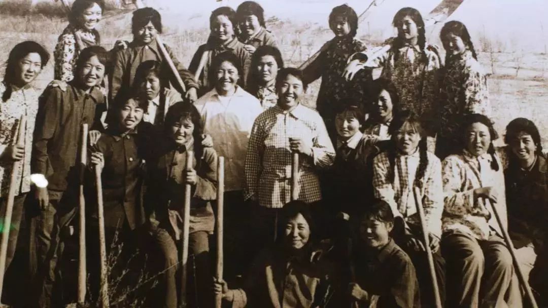 第一個(gè)消失，毛烏素沙漠將從中國地圖抹去，為何植樹是公民義務(wù)？