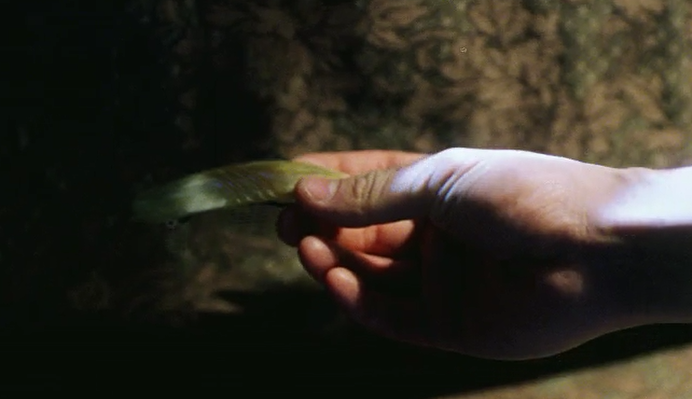 出了出了，这才是我想看的徐峥