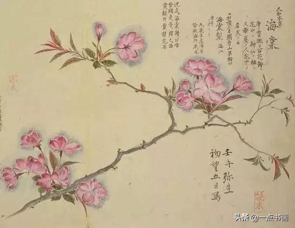 工笔花卉植物写生要领