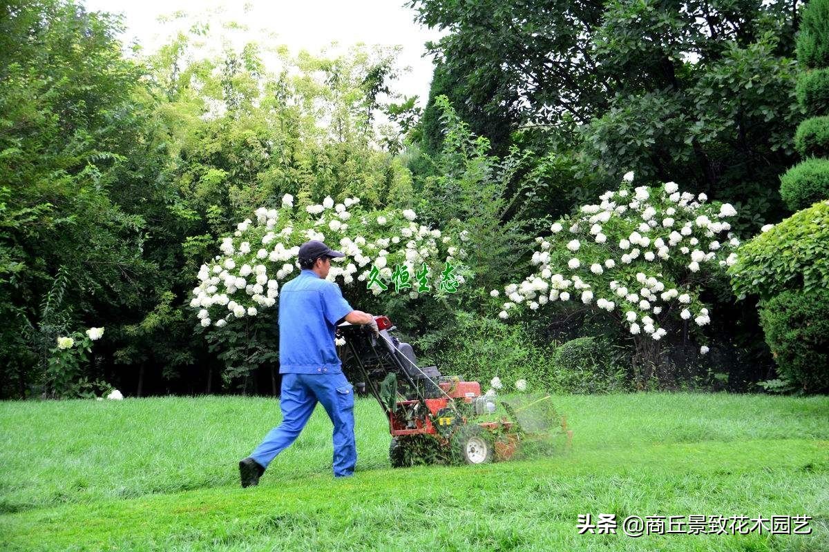 最全的园林景观绿化养护技术手册（园林人必藏）