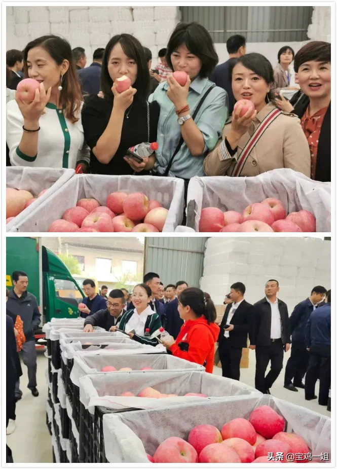 消费扶贫、电商助力、‘苹’稳增收，第二届岐山县苹果节举办