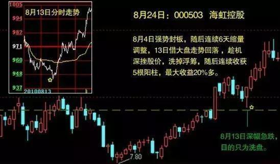 北大女博士罕见发声：如果有50万资金，高分红的