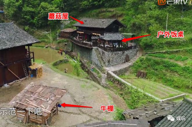 《向往的生活4》首播，今年的蘑菇屋“户型”太牛，摄像机零穿帮