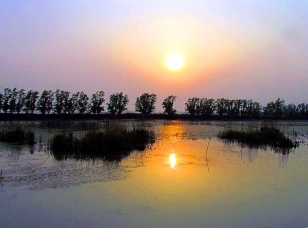 山东旅游：滕州微山湖湿地采风记（图）