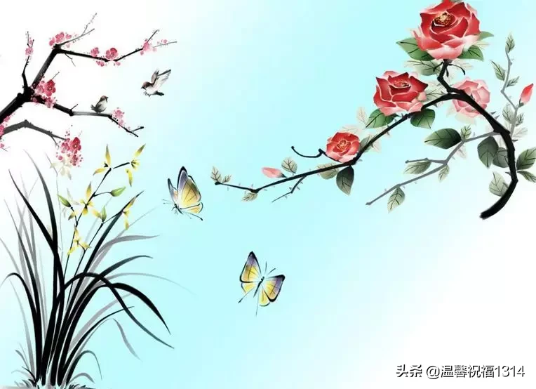 晚安心语优美的入心短句 每句写到心坎上