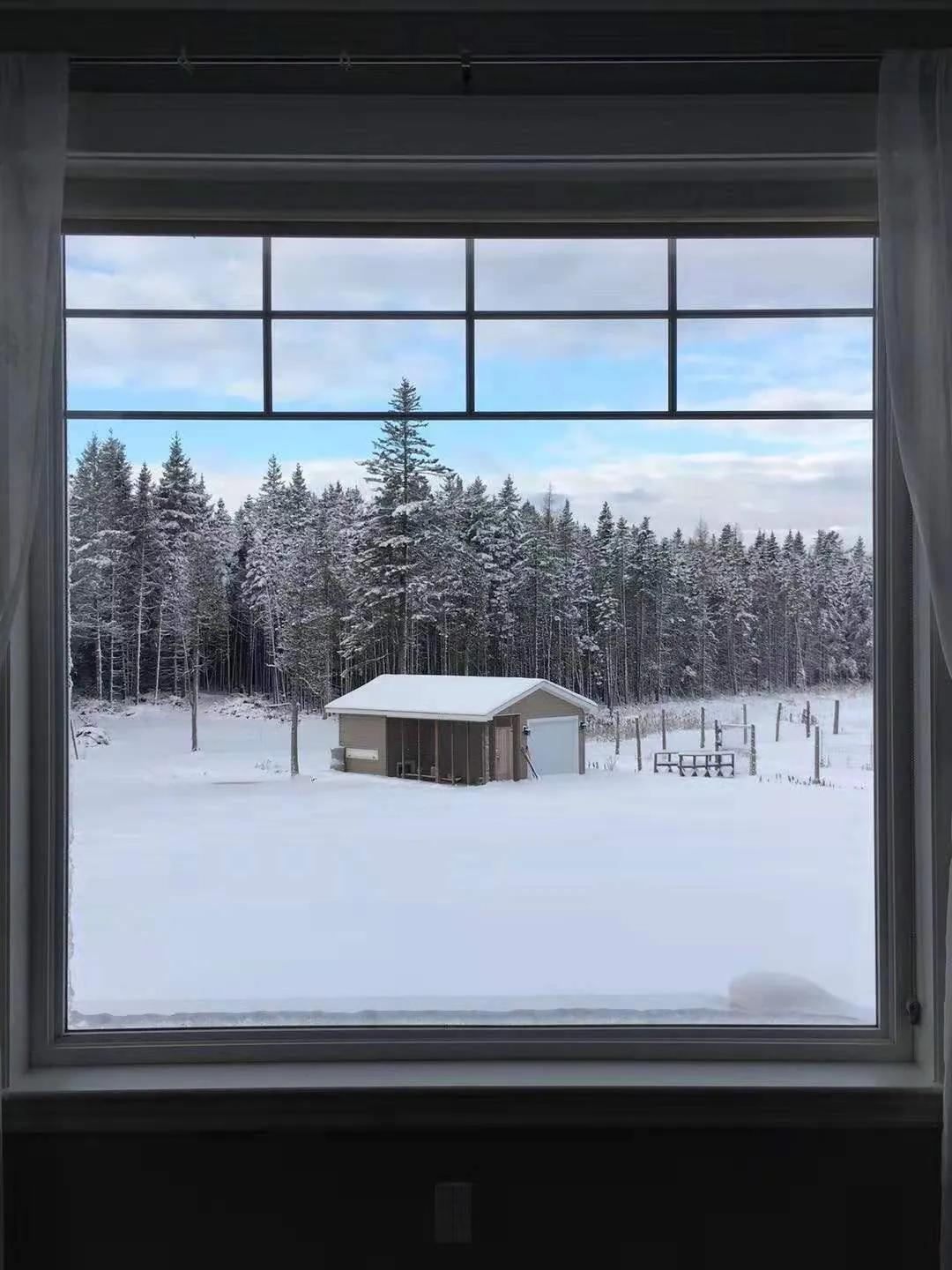 Snow fell, such scene that pat snow that but too beautiful