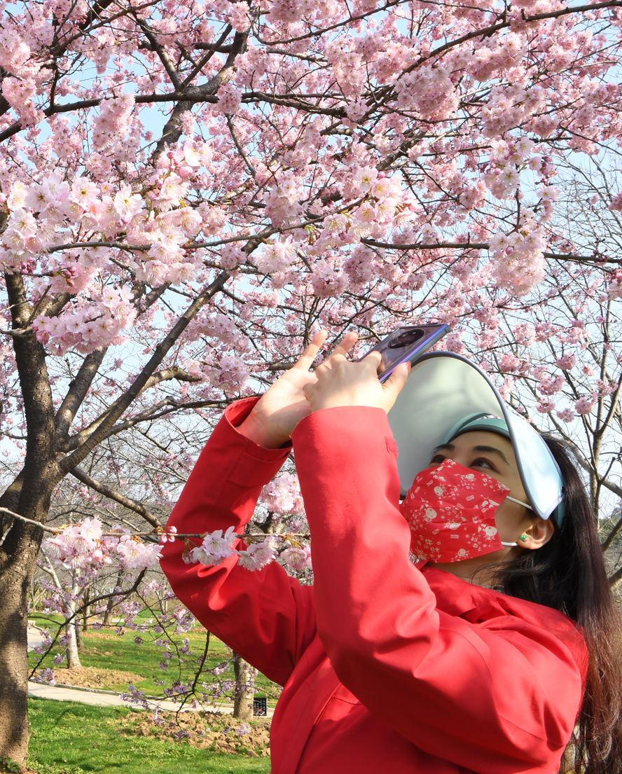 等不及了！全城的花花们带来春的讯息｜城市摄影队