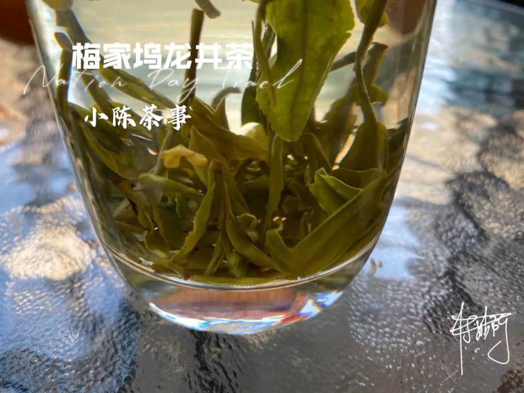 <a href=http://www.guniangcha.com/baicha target=_blank class=infotextkey>白茶</a>喝起来和绿茶差不多，香气都一样？其实它们之间存在3点区别