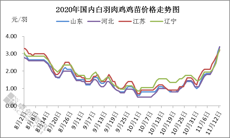 鸡苗开启疯涨模式 孵化企业终获盈利