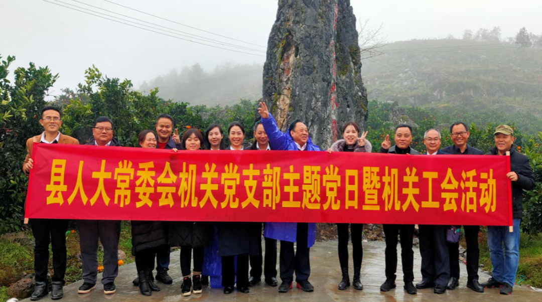 溆浦县人大常委会机关开展“四支队伍集村部帮助桔农促销售”主题党日活动