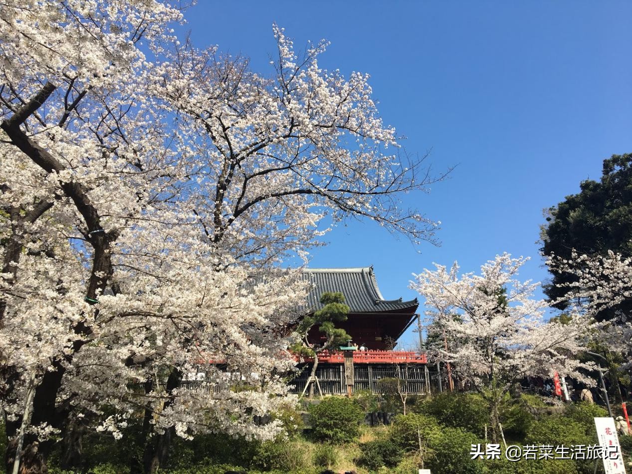 東京景點攻略淺草上野區域必去景點搜羅淺草寺 晴空塔 Mp頭條