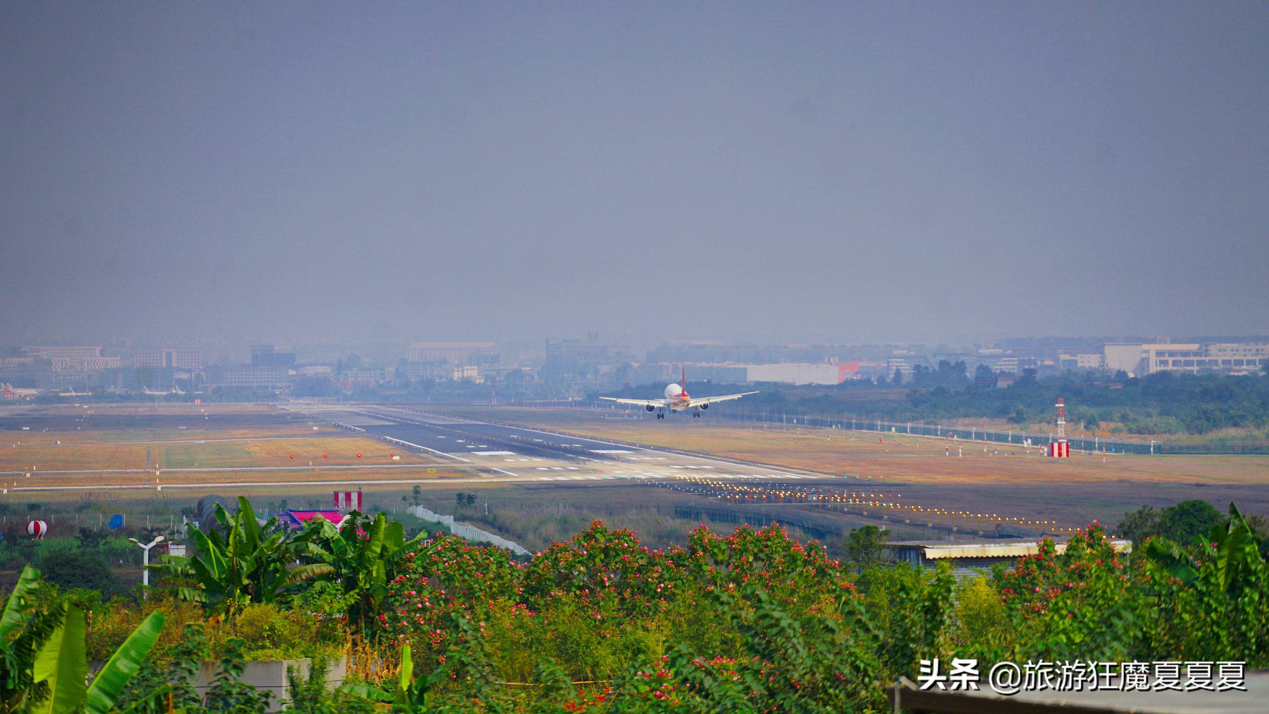 How good do people in Chengdu play?Build a flower field next to the