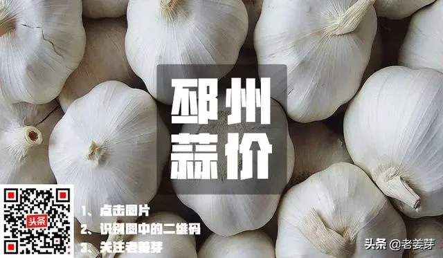 2020年5月28日邳州大蒜价格行情（落价）