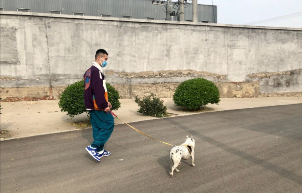杨九郎管狗叫大哥，真大哥冯照洋被网友圈出来