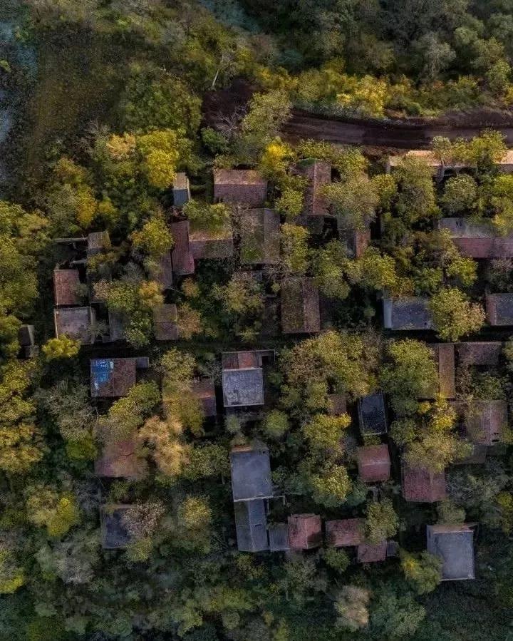 袁家村之后，陕西又出了一个全新标杆农文旅项目——唐村