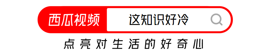 去日本人家中做客要脱鞋 如果脚很臭的话 日本人会有什么表现 姑苏旧梦 Mdeditor