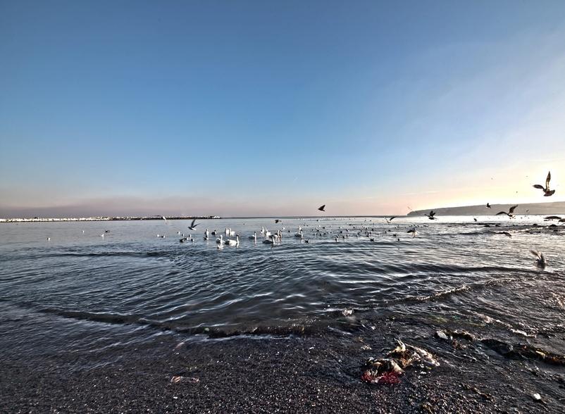 俄国防部报告：发现美军轰炸机进入黑海，俄军